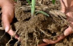 4 per 1000 - Soil Carbon to Mitigate Climate Change 4 per 1000 - Soil Carbon to Mitigate Climate Change
