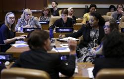Absent or Invisible? Women Mediators and the United Nations Absent or Invisible? Women Mediators and the United Nations