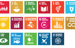Knowledge and Politics in Setting and Measuring the SDGs: Introduction to Special Issue Knowledge and Politics in Setting and Measuring the SDGs: Introduction to Special Issue