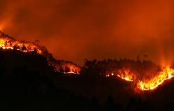 Causality and the fate of climate litigation: The role of the social superstructure narrative Causality and the fate of climate litigation: The role of the social superstructure narrative