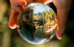 Missing the SDGs: Political accountability for insufficient environmental action Missing the SDGs: Political accountability for insufficient environmental action
