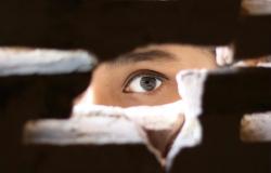 Intelligence in international society: An English school perspective on the ‘five eyes’ Intelligence in international society: An English school perspective on the ‘five eyes’