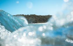 Photo by Lachlan Ross from Pexels Photo by Lachlan Ross from Pexels