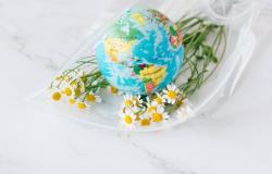 Regulating humanity's impact on the earth: The promise of transnational environmental law Regulating humanity's impact on the earth: The promise of transnational environmental law