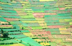 Will Science-Based Targets Save Us? Insights from the Global Food Industry Will Science-Based Targets Save Us? Insights from the Global Food Industry