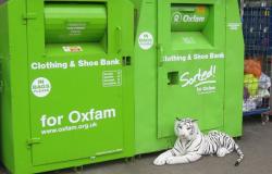 What’s to be done with Oxfam? What’s to be done with Oxfam?