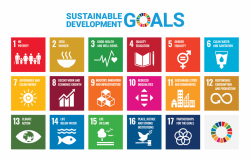 GELI Stories – How to get Early Childhood Development into the SDGs (with a bit of help from Shakira) GELI Stories – How to get Early Childhood Development into the SDGs (with a bit of help from Shakira)