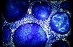 Five Ways Buildings of the Future will use Biotech to become Living Things Five Ways Buildings of the Future will use Biotech to become Living Things