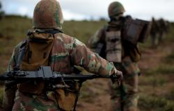 Mozambique’s “War on Terror”: Why are Regional Troops Withdrawing? Mozambique’s “War on Terror”: Why are Regional Troops Withdrawing?
