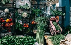 Inflation Policies Must Deal With Impact of Rising Food Prices on the Poor Inflation Policies Must Deal With Impact of Rising Food Prices on the Poor