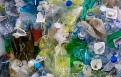 Plastic Dilemma: A Brief Essay on a Big Problem Plastic Dilemma: A Brief Essay on a Big Problem