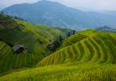 Is the Lewis Model of Economic Development Still Relevant to Developing Countries?